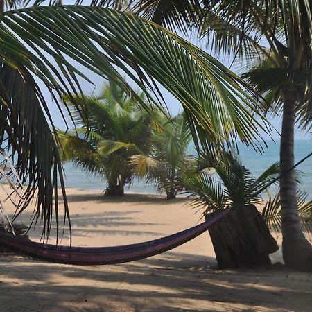 Sabal Beach Hotel Monkey River Town Exterior foto