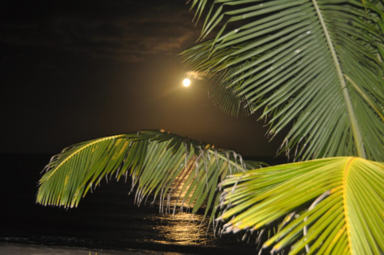Sabal Beach Hotel Monkey River Town Exterior foto