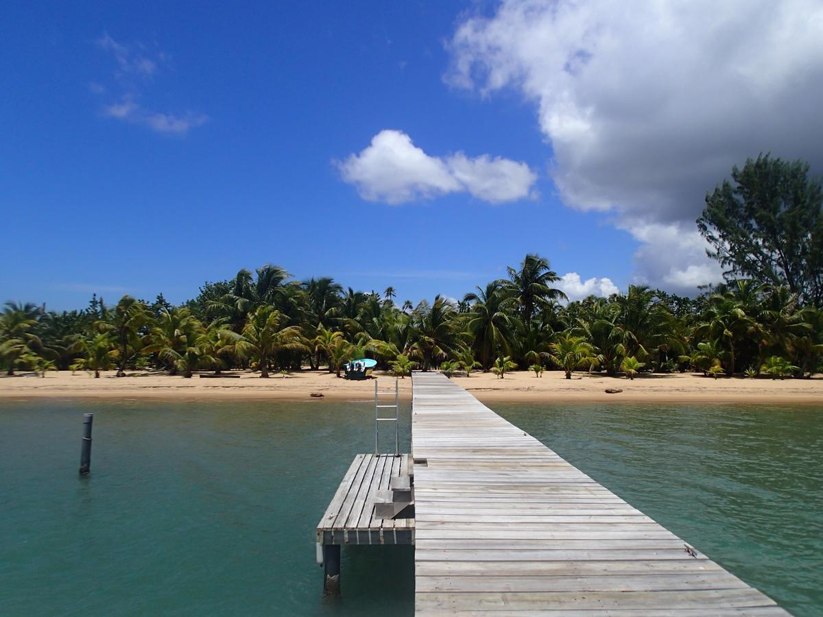 Sabal Beach Hotel Monkey River Town Exterior foto