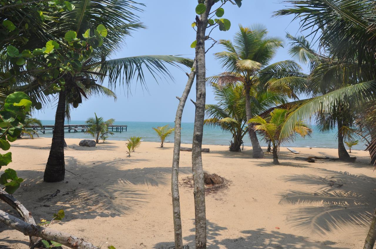 Sabal Beach Hotel Monkey River Town Exterior foto