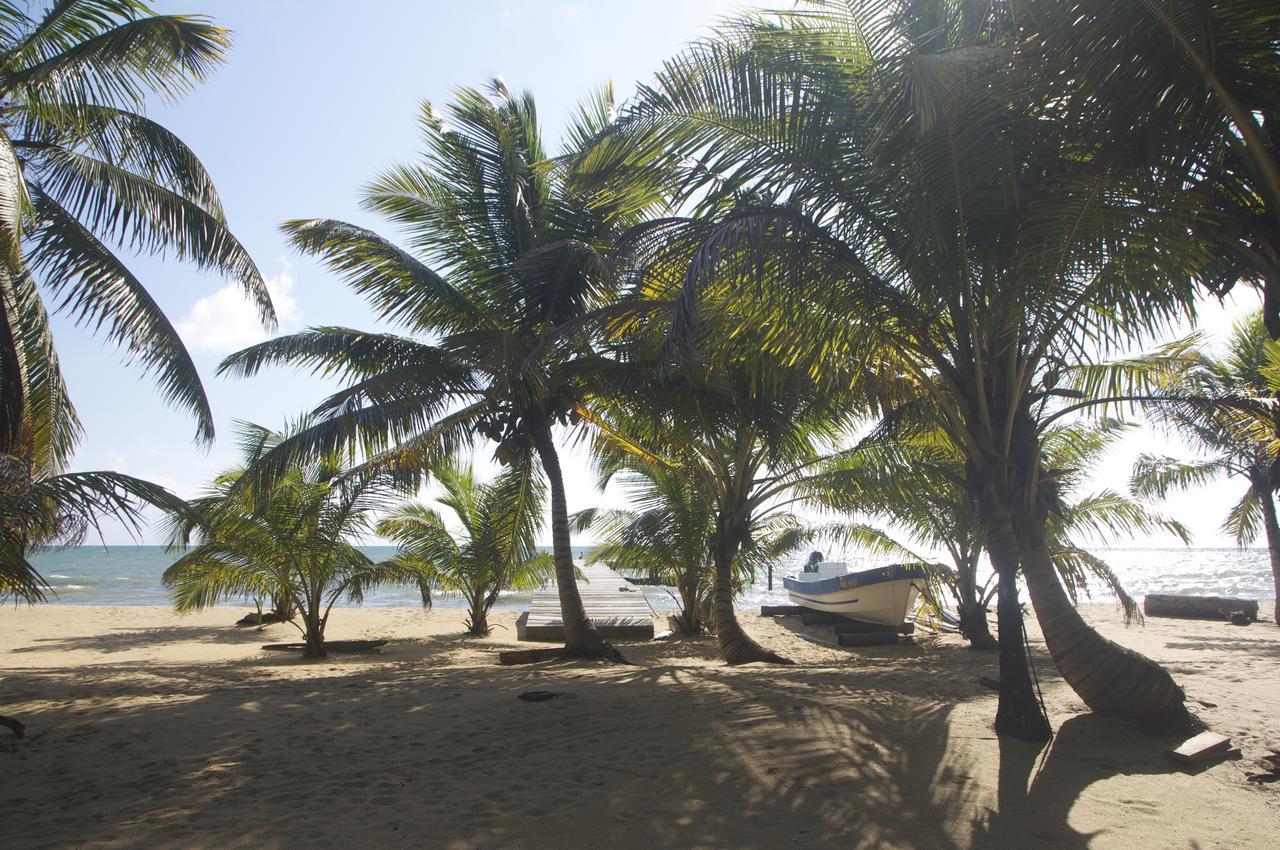 Sabal Beach Hotel Monkey River Town Exterior foto